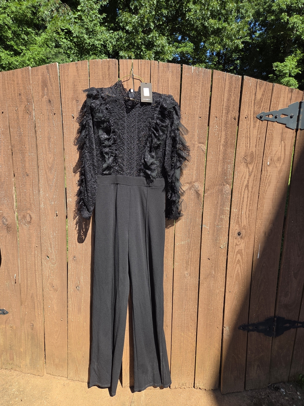 Fashion Nova Black Lace Jumpsuit with Feather Trim